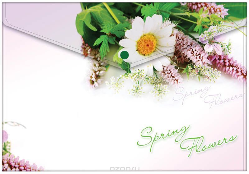 Berlingo Папка-конверт на кнопке Spring Flowers
