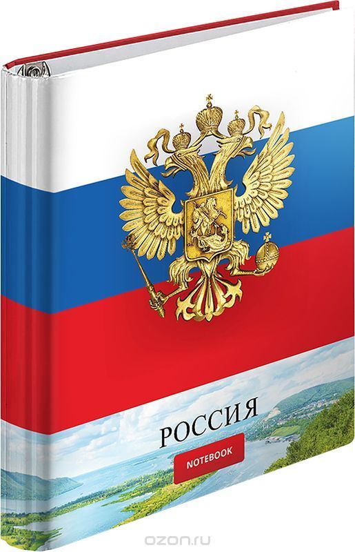 ArtSpace Тетрадь на кольцах Россия 120 листов в клетку
